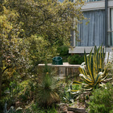 Panto Pop Dark Green